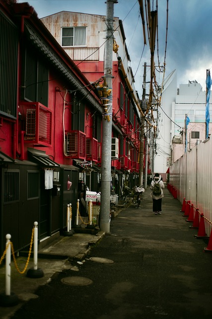 Tokyo's Hidden Gems: Unveiling the City's Best Kept Secrets and Unique Experiences