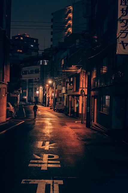 Unearth Tokyo's Hidden Gems: A Guide to the City’s Best Secret Spots and Local Treasures